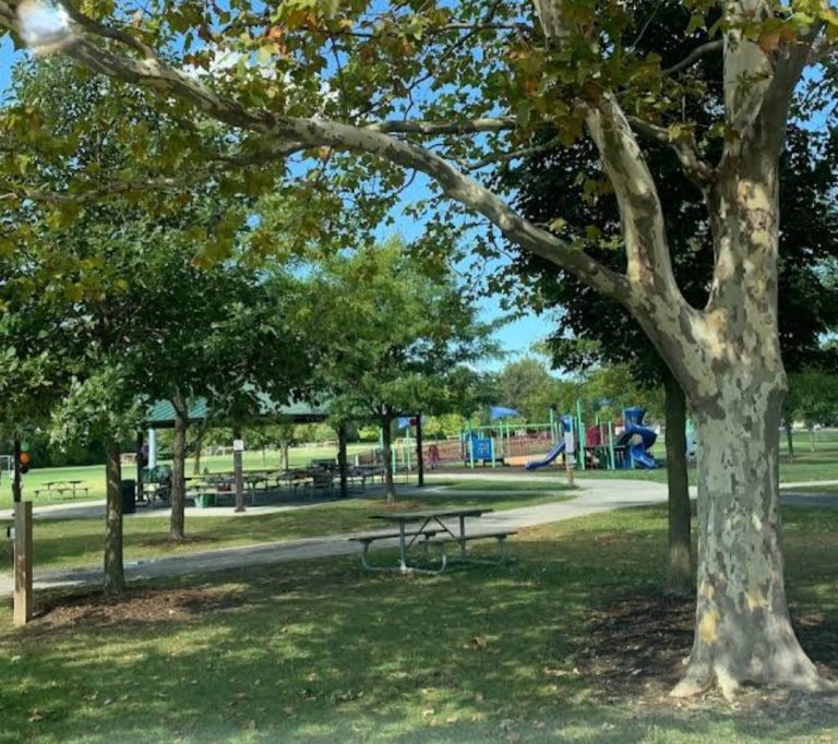 Mcaulliffe park tecumseh 3 768x682