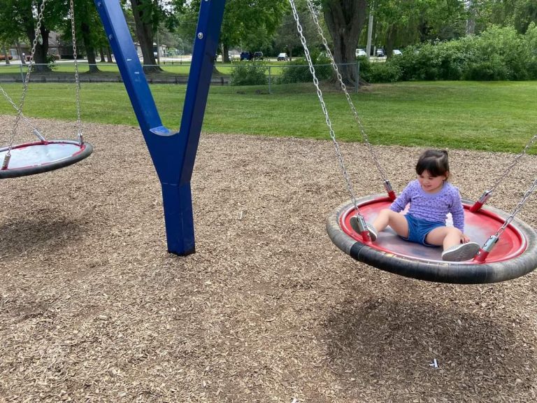 Southside park Woodstock 1 768x576