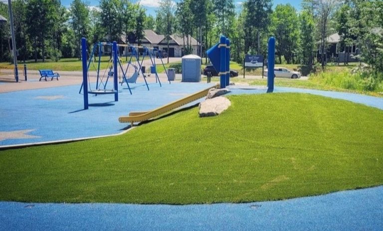 sachas park loriginal 12 768x464