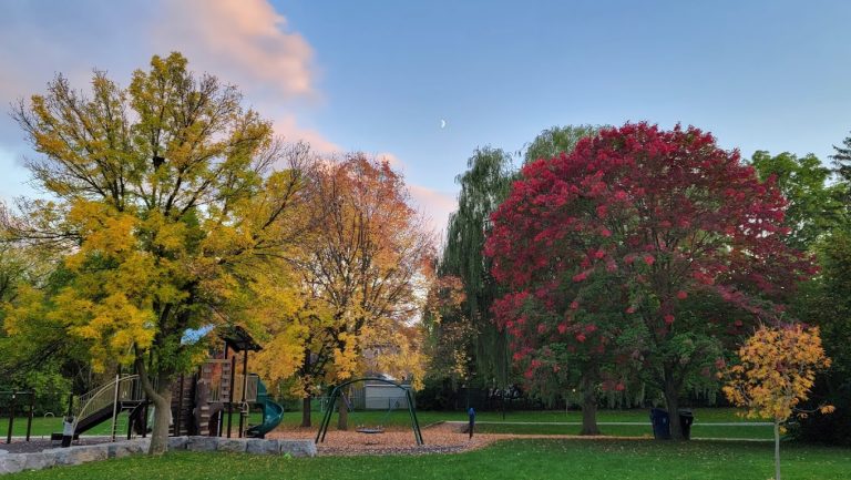 abbotsford park toronto 1 768x433